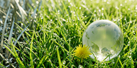 glasglobus im gras mit metallspaenen rwd